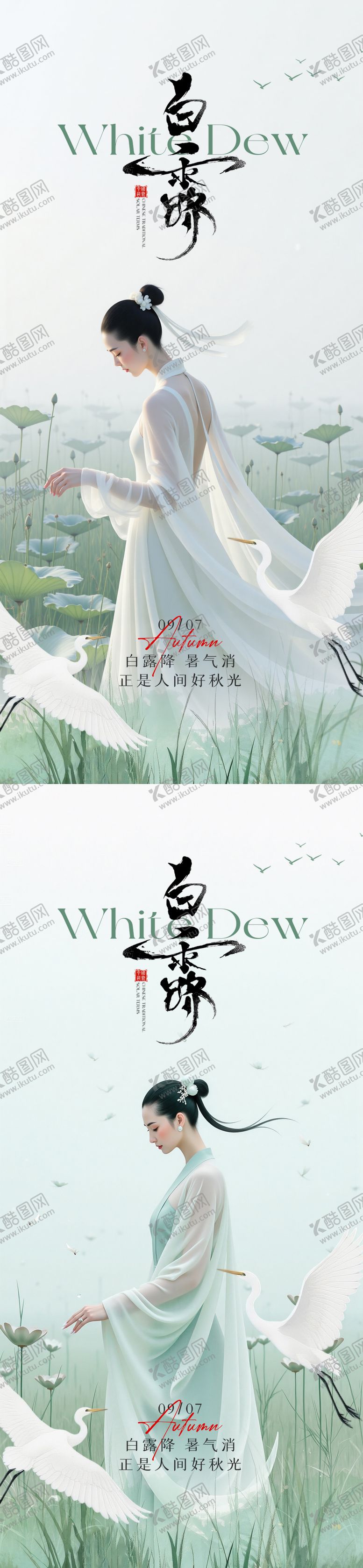 编号：50429009061603213557【酷图网】源文件下载-白露中式节气海报