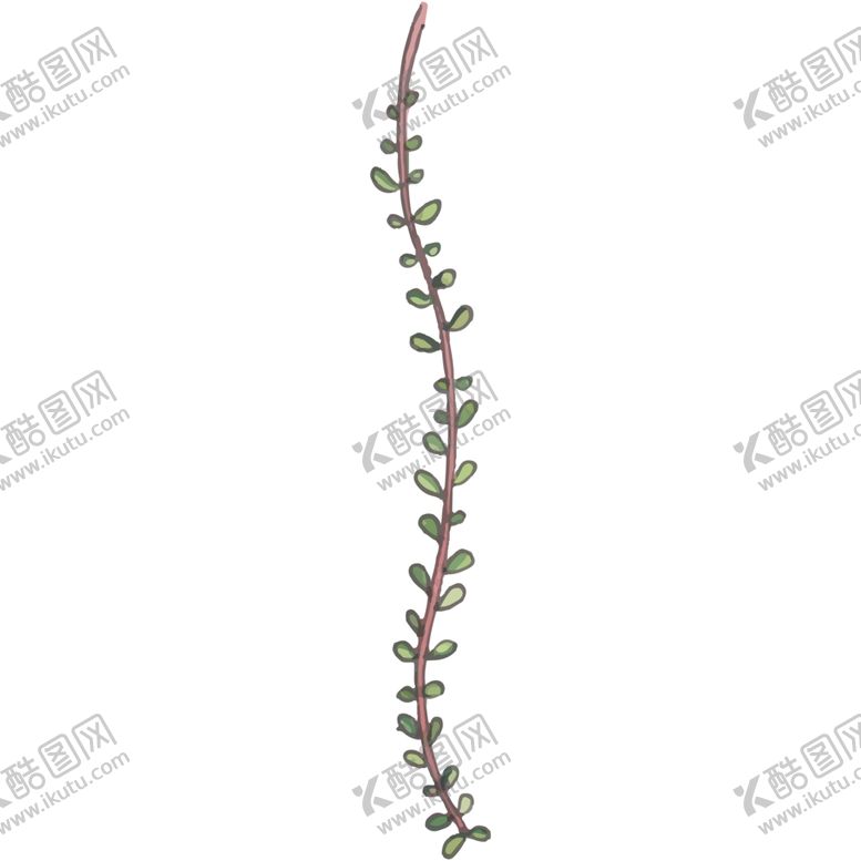 编号：14610105040418261137【酷图网】源文件下载-叶子图片