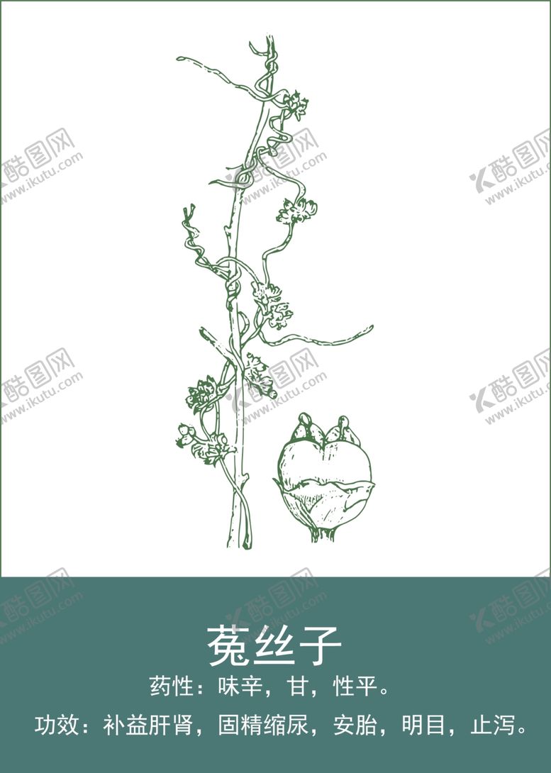 编号：89310201140932573483【酷图网】源文件下载-中药手绘插画