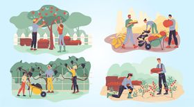 公园中的多样休闲活动场景