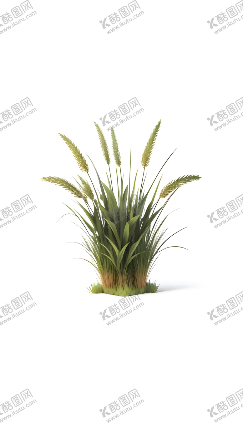 编号：41359101191012005238【酷图网】源文件下载-小草小花植物草地绿地草丛绿化