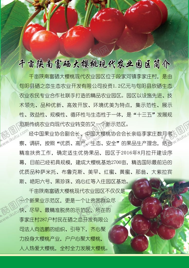 编号：51314807060123327560【酷图网】源文件下载-千亩大樱桃项目简介