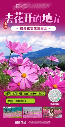 去花开的地方赏花旅游海报