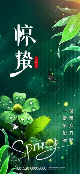 惊蛰二十四节气海报展板
