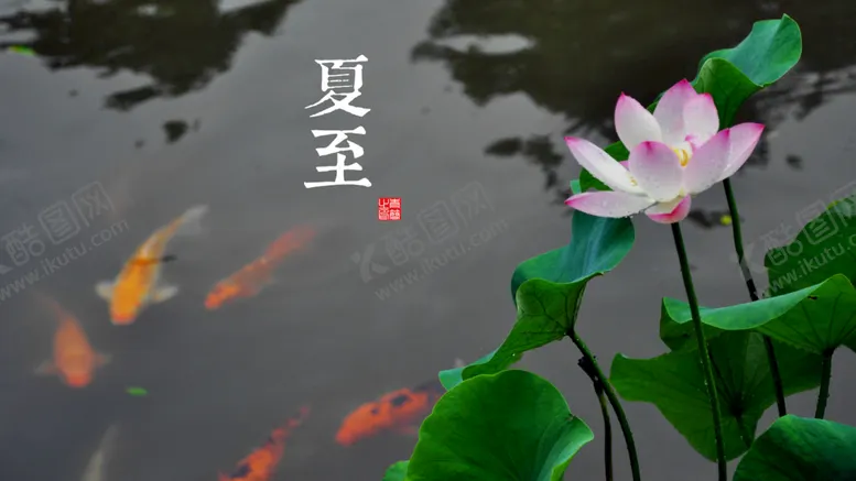 编号：26374310190623117582【酷图网】源文件下载-自然景观壁纸