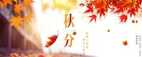 秋分秋分海报立秋海报秋天