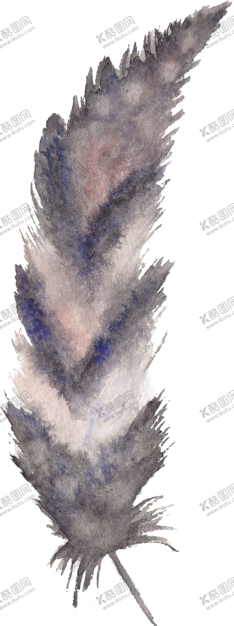 编号：35039107080648145378【酷图网】源文件下载-手绘水彩羽毛