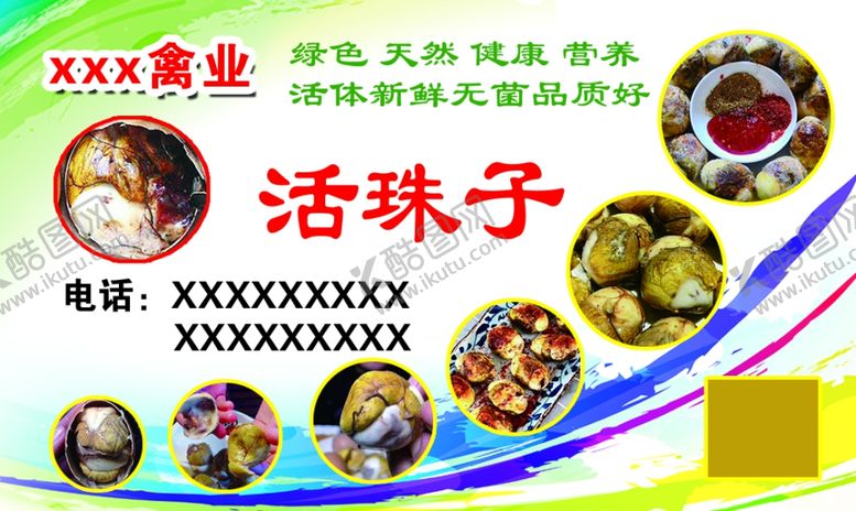 编号：72408804250440499088【酷图网】源文件下载-活珠子名片