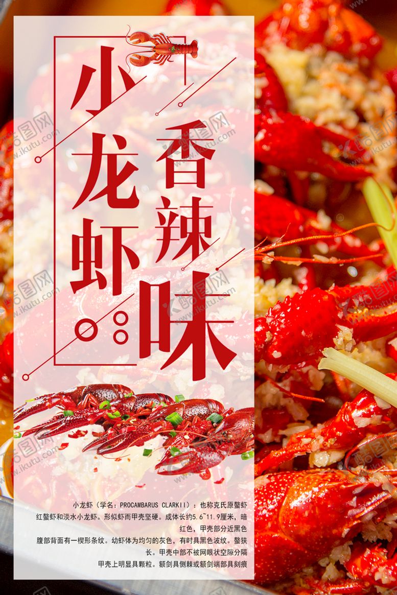 编号：62371410030006046321【酷图网】源文件下载-香辣小龙虾