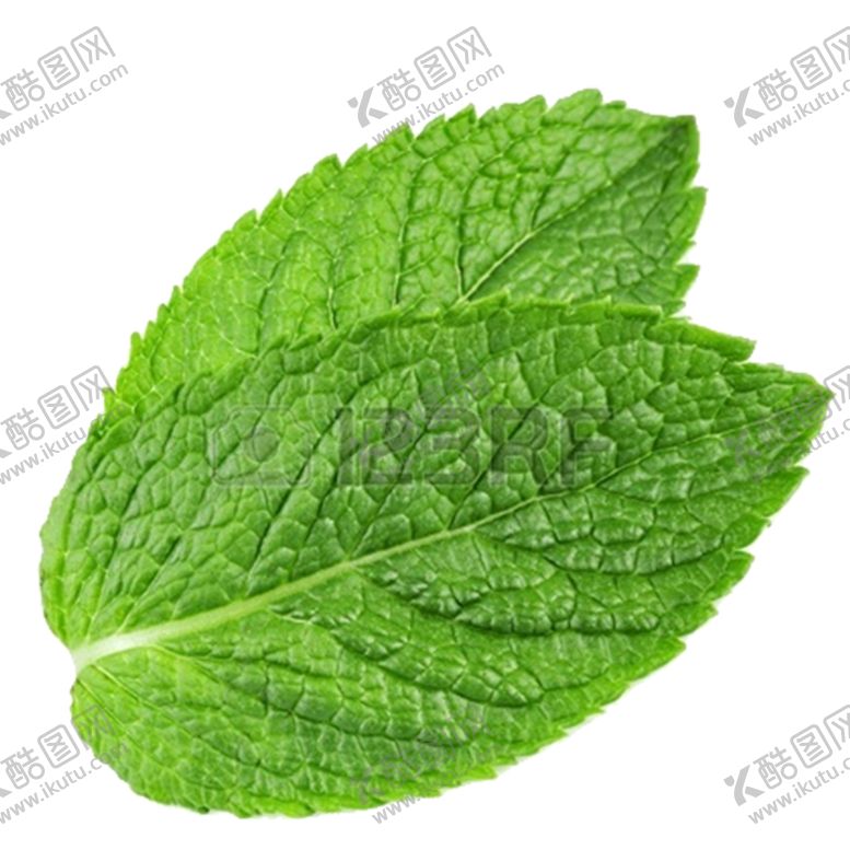 编号：12885310220711078818【酷图网】源文件下载-薄荷