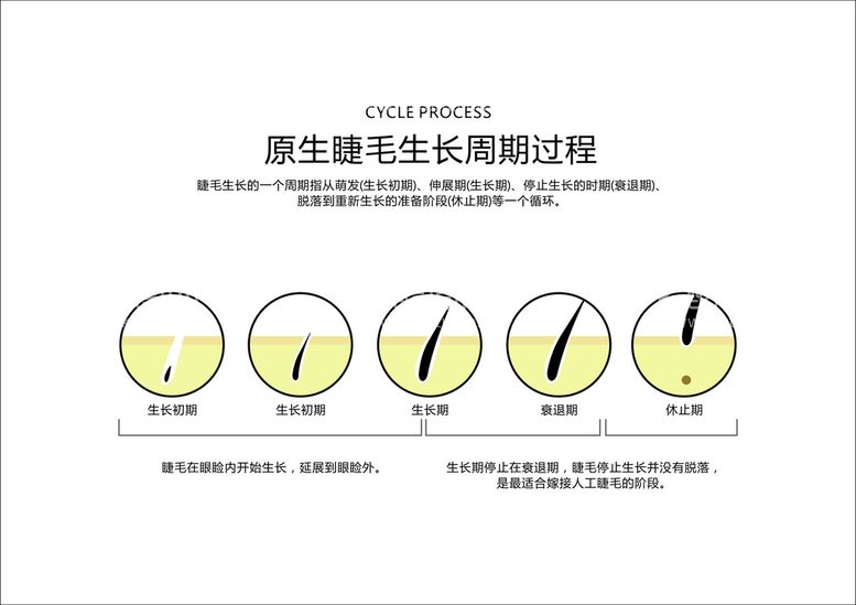 编号：13405710102232268504【酷图网】源文件下载-睫毛生长图