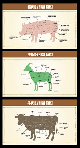 牛羊猪肉分割部位图