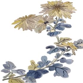 菊花