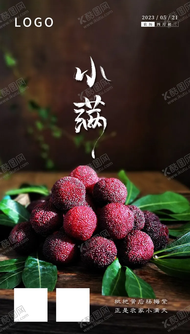 编号：26382211182126535652【酷图网】源文件下载-24节气小满杨梅