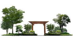 景观立面图