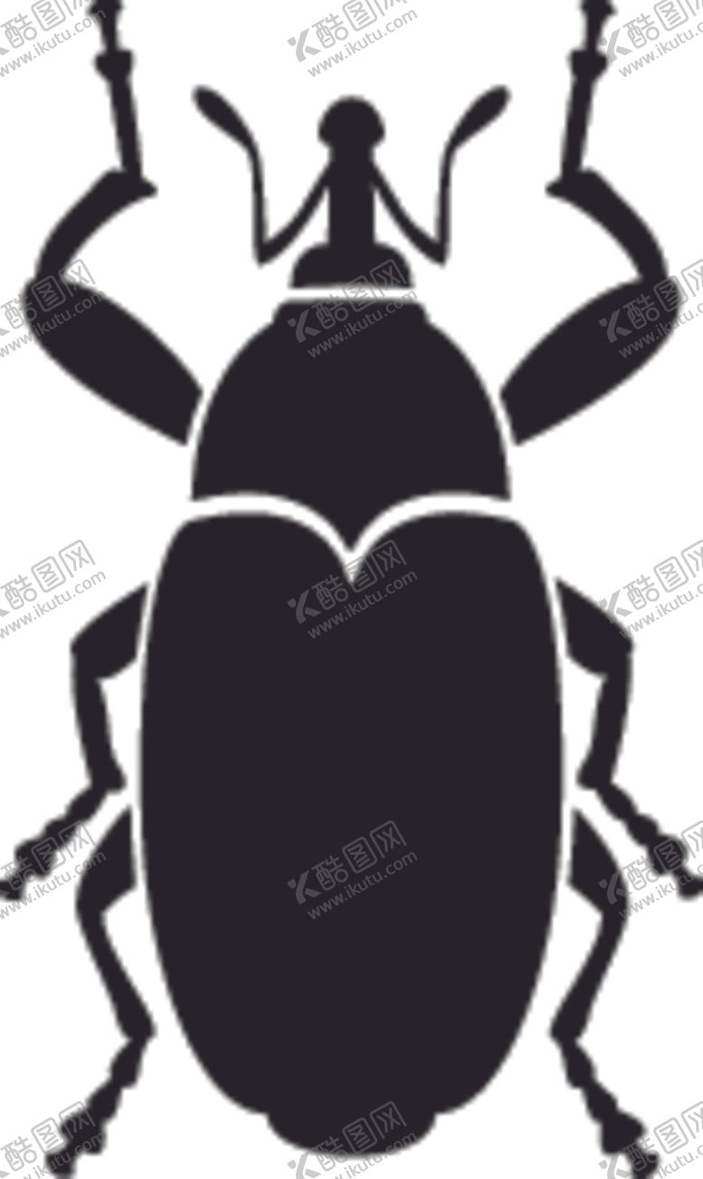 编号：76438809261633218422【酷图网】源文件下载-昆虫系列甲虫