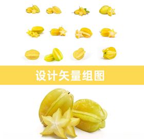 杨桃水果手绘矢量插画