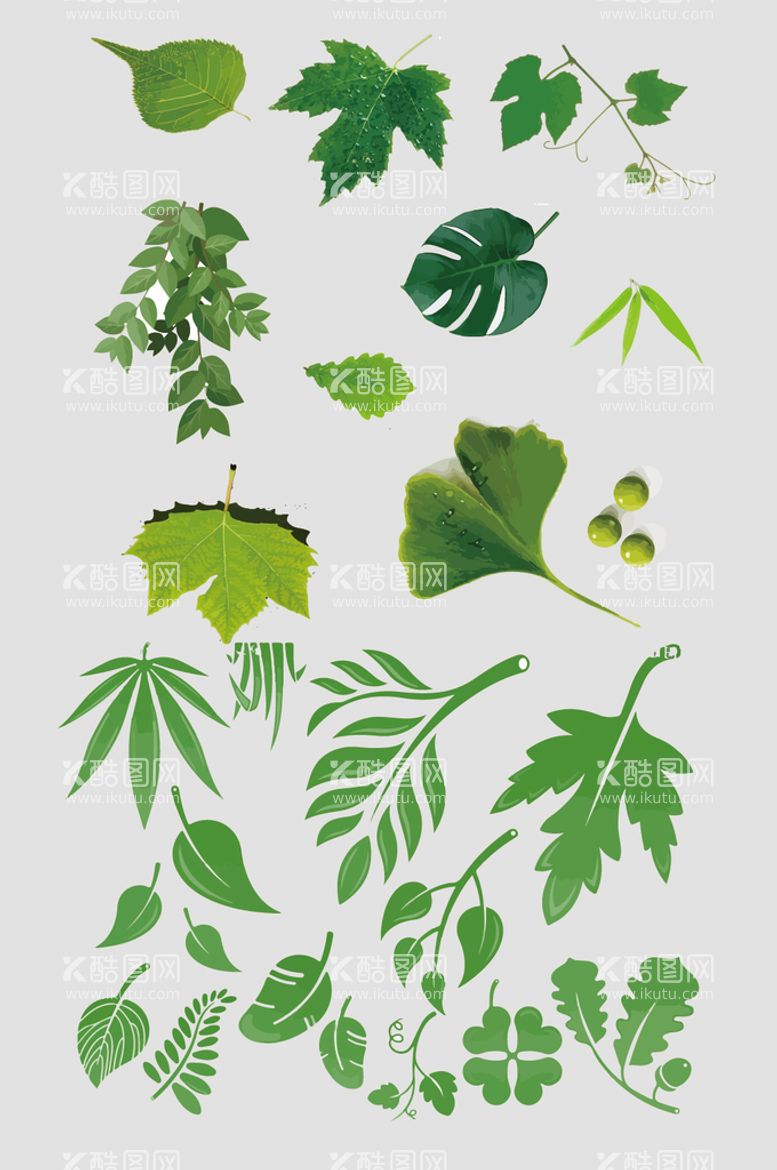 编号：14132610151408271444【酷图网】源文件下载-AI矢量绿色树叶
