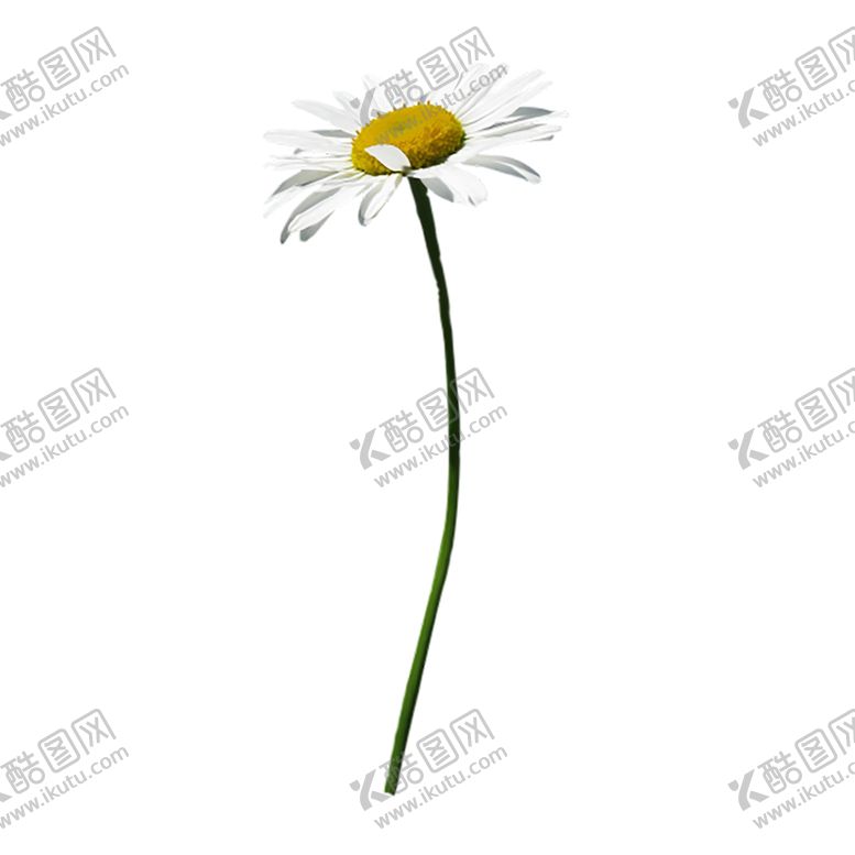 编号：98565210140925453850【酷图网】源文件下载-植物