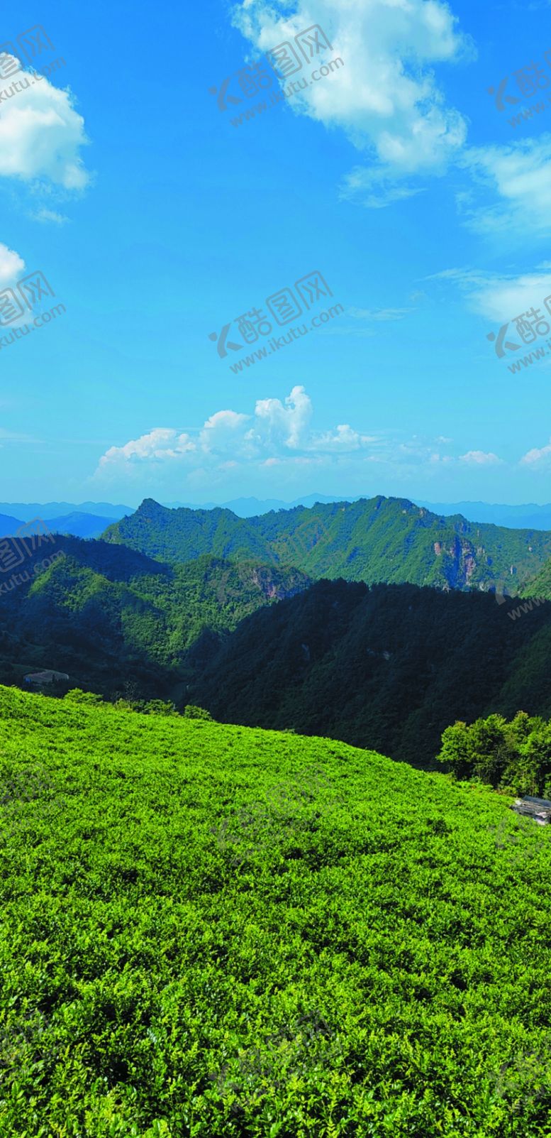编号：69088606220131314174【酷图网】源文件下载-莓茶园高山蓝天