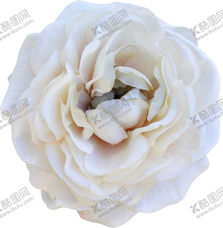 编号：71252610072155249900【酷图网】源文件下载-玫瑰花朵装饰