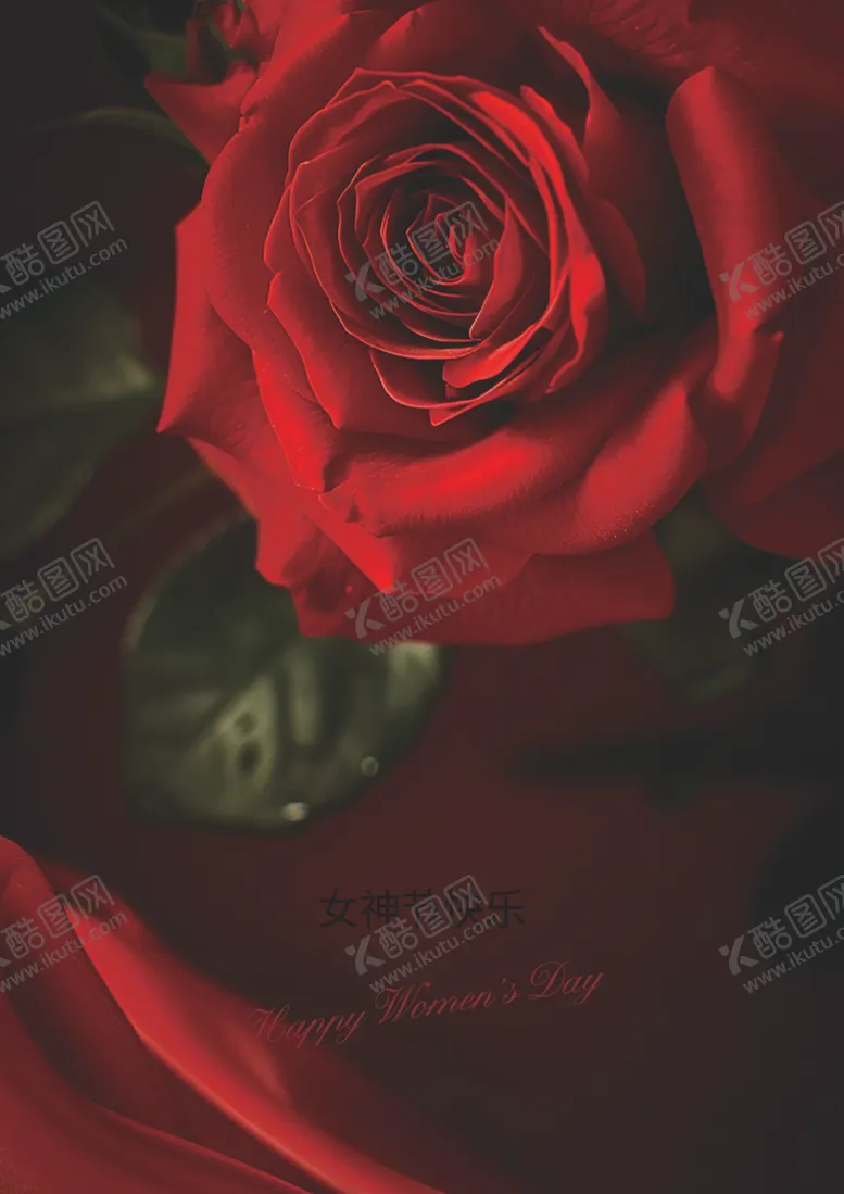 编号：38693003070529197524【酷图网】源文件下载-女神节快乐