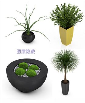 手绘家居植物矢量素材