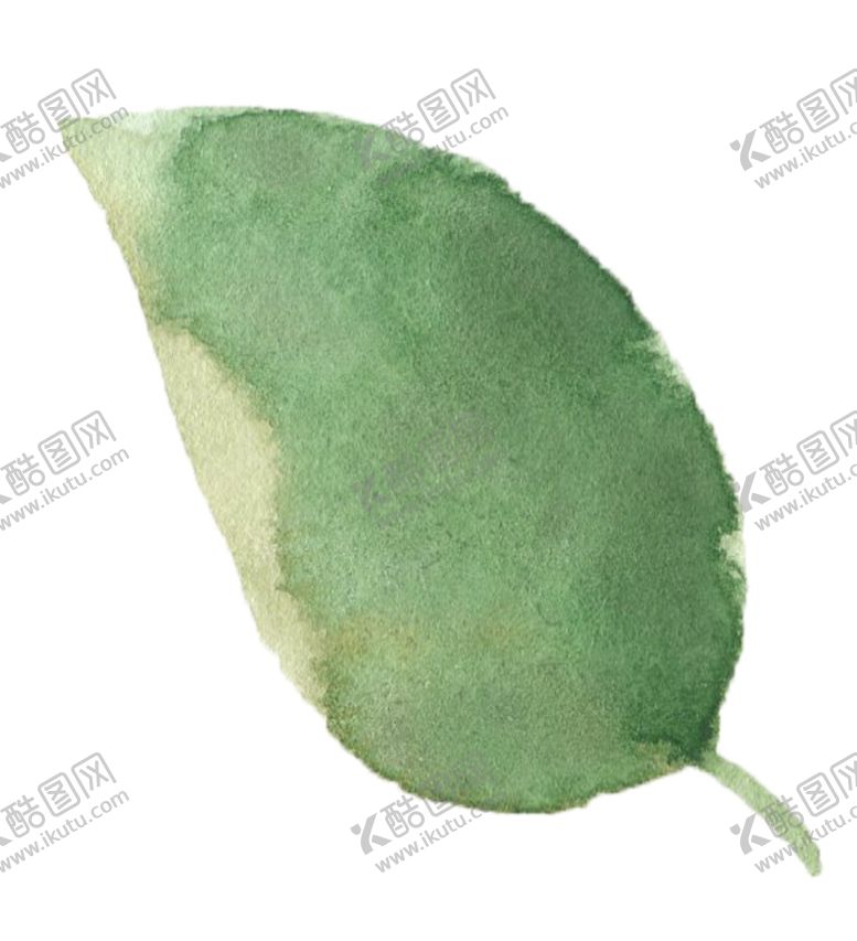编号：38932306190828258455【酷图网】源文件下载-手绘植物花卉