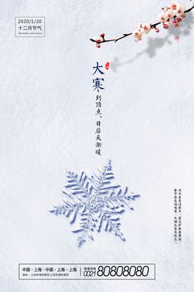 24节气大寒宣传海报