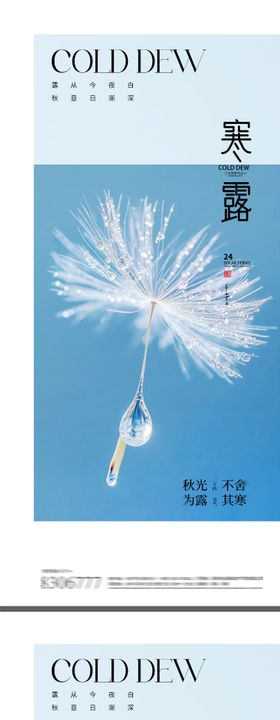 简约大气白鹿寒露节气海报