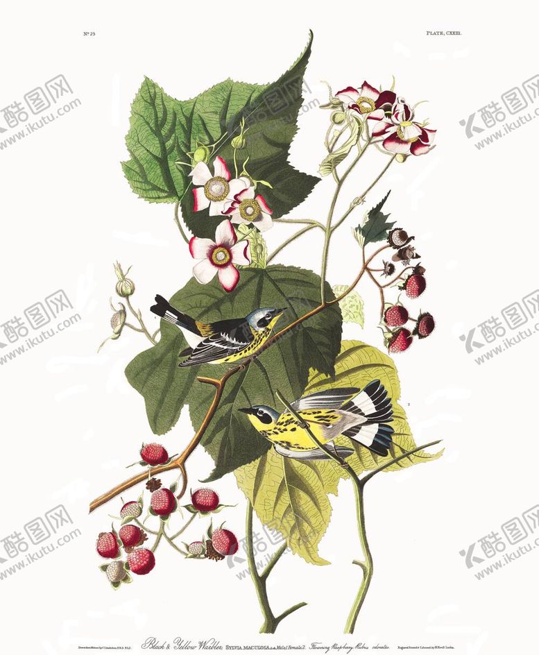 编号：48941212050419585883【酷图网】源文件下载-油画
