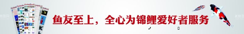 编号：42024002200530011332【酷图网】源文件下载-红色水族观赏鱼车身贴汽车贴纸