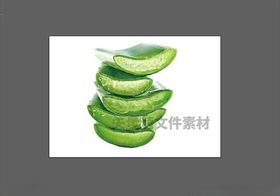 芦荟矢量