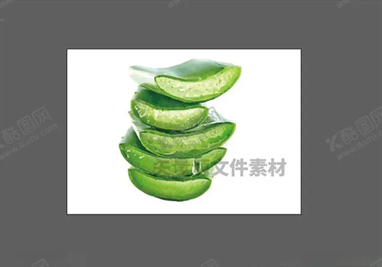 编号：87647006180659244880【酷图网】源文件下载-芦荟矢量