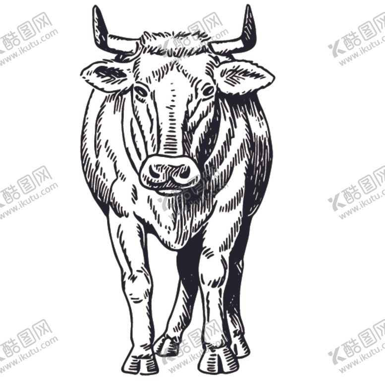 编号：60044710201033513841【酷图网】源文件下载-家禽动物线稿绘画图案