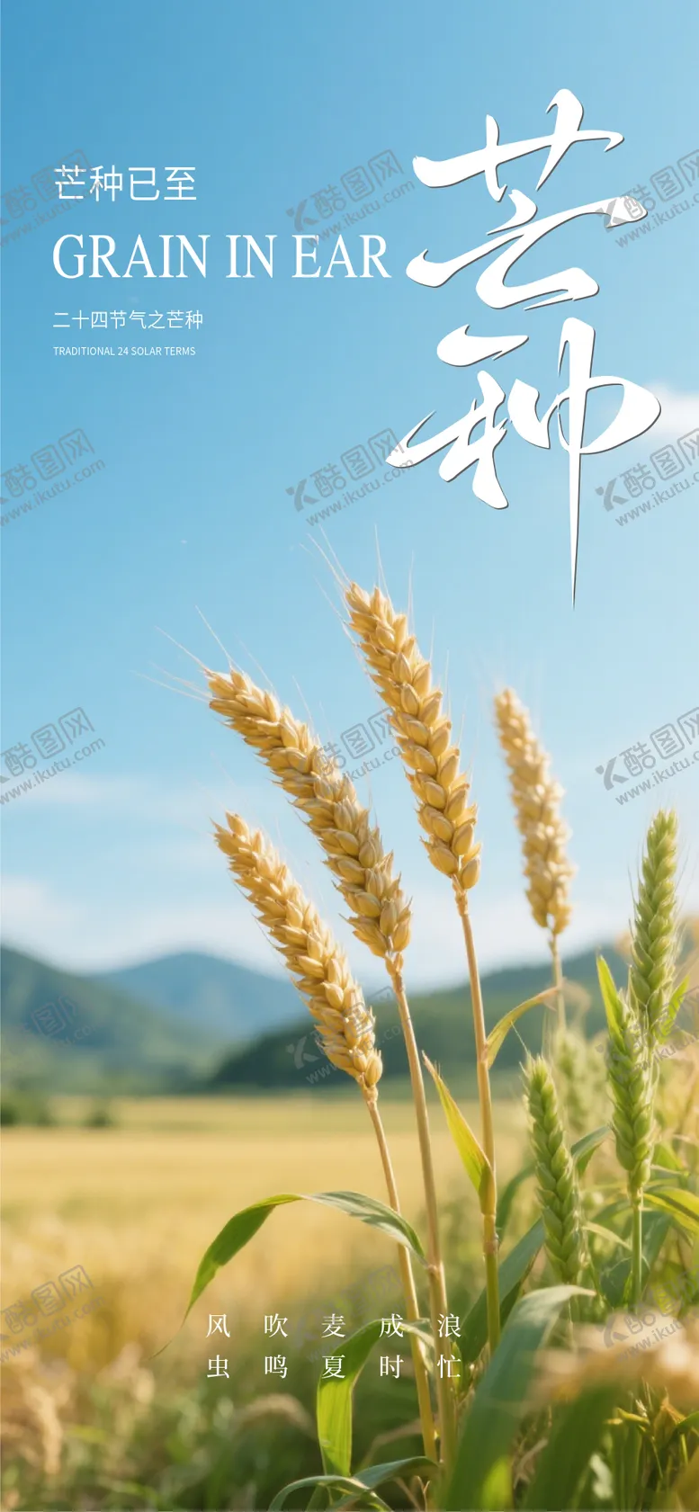 编号：20998106151745212755【酷图网】源文件下载-地产芒种节气海报