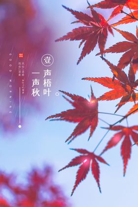 秋分