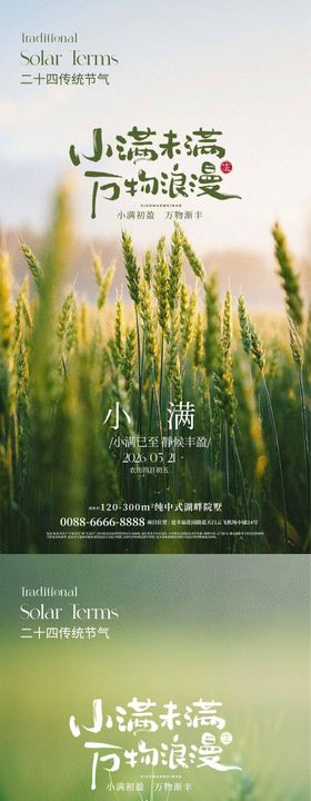 小满节气丰收播种海报