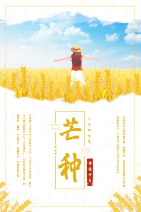 芒种节气海报