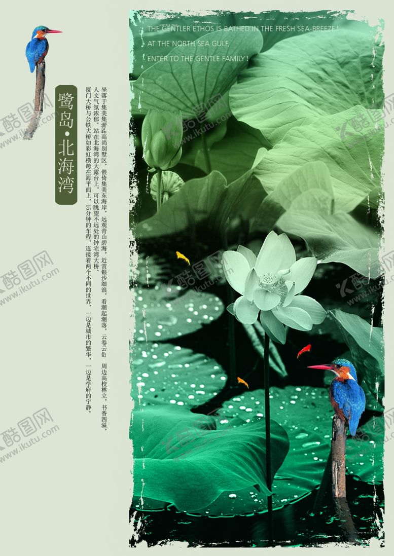 编号：37058107131311058431【酷图网】源文件下载-园林大气荷叶荷花创意宣传海报