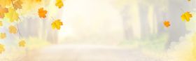 秋天背景