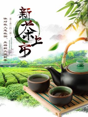 新茶上市