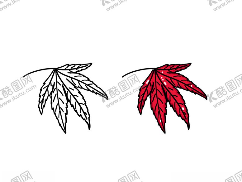 编号：82364110030053241607【酷图网】源文件下载-枫树叶