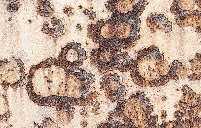 编号：81479710301558398472【酷图网】源文件下载-金属纹理