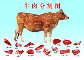 新牛肉分割图