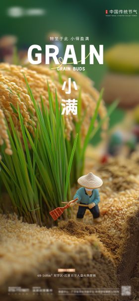 微景小满节气海报