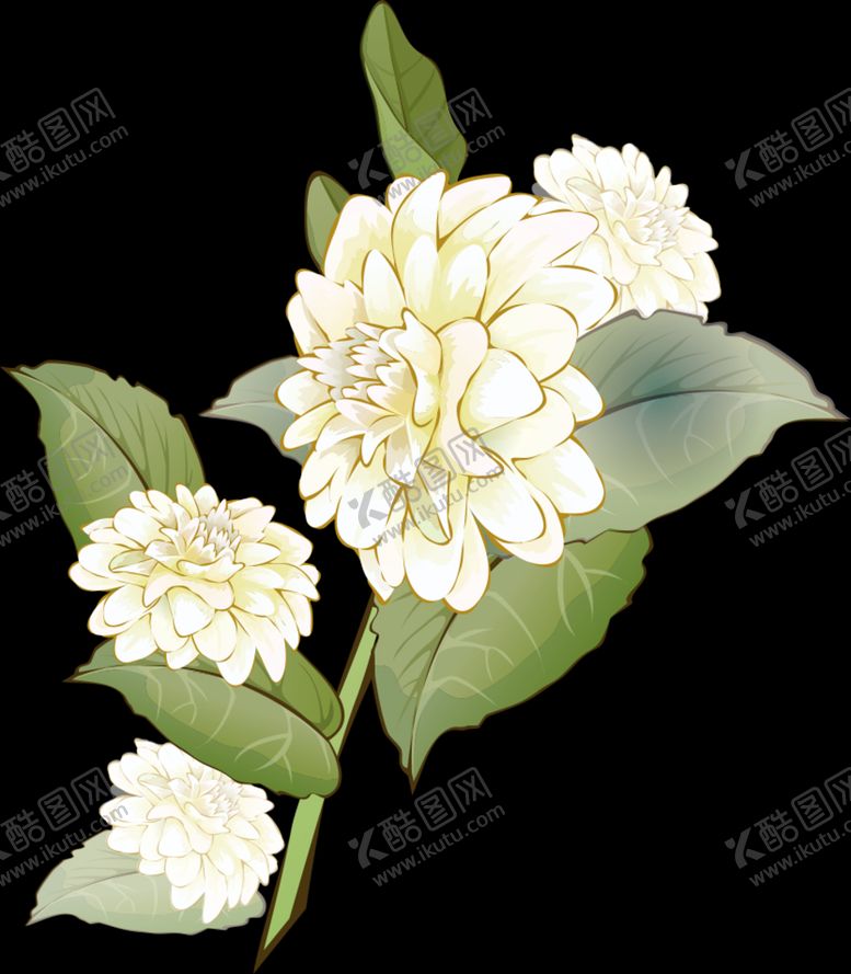 编号：18869305102043155677【酷图网】源文件下载-草本植物药材