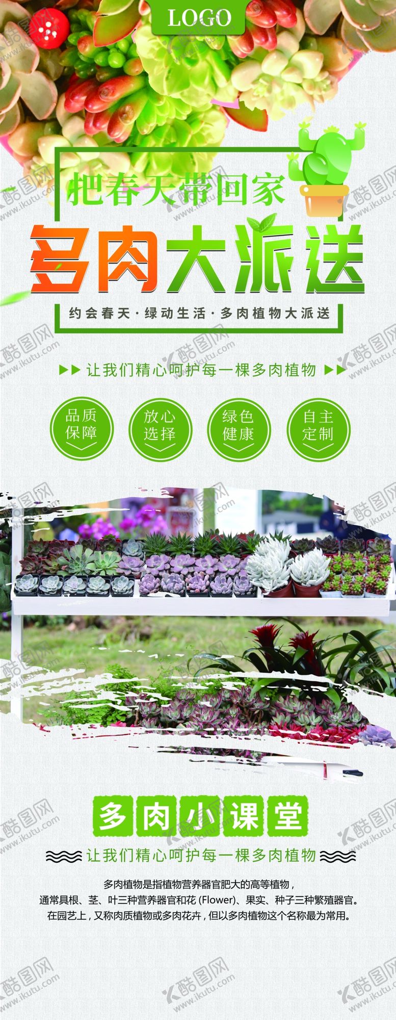 编号：44074310300053572789【酷图网】源文件下载-多肉促销展架