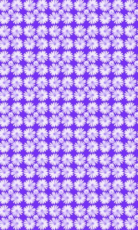 白色小花