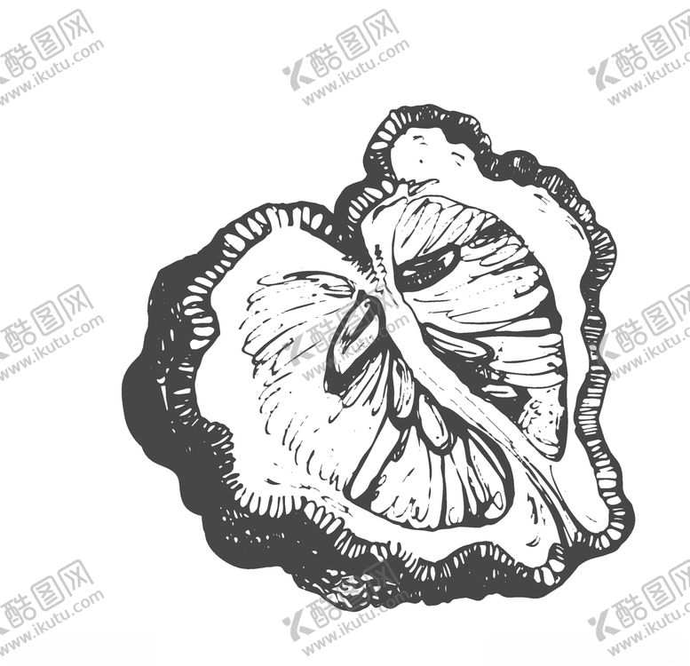 编号：20294410212250244459【酷图网】源文件下载-水果